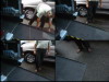 2003-0630-berlingo-5